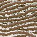 Tjeckiska seed beads - Terra Intensive Lining Chocolate Brown 11/0, 17 gram Preciosa