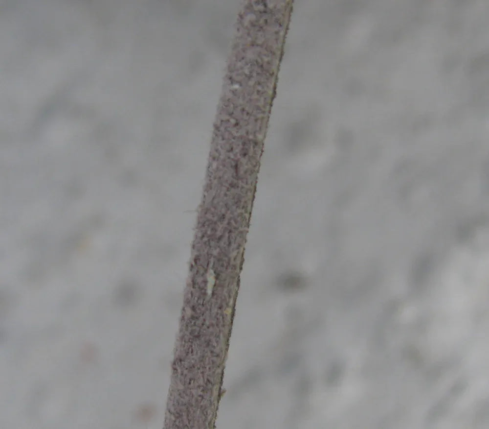 Mockaimitation - Grå 3 mm, 1 m Hilmas Pyssel