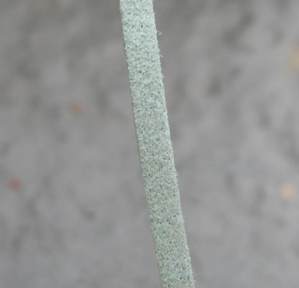 Mockaimitation - Turkos 3 mm, 1 m Hilmas Pyssel