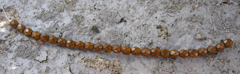 Tjeckiska Firepolish - Snake Amber 6mm, 1 sträng Hilmas Pyssel