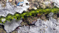 Tjeckiska MC Bicone - Olivine 4 mm, 1 sträng Preciosa