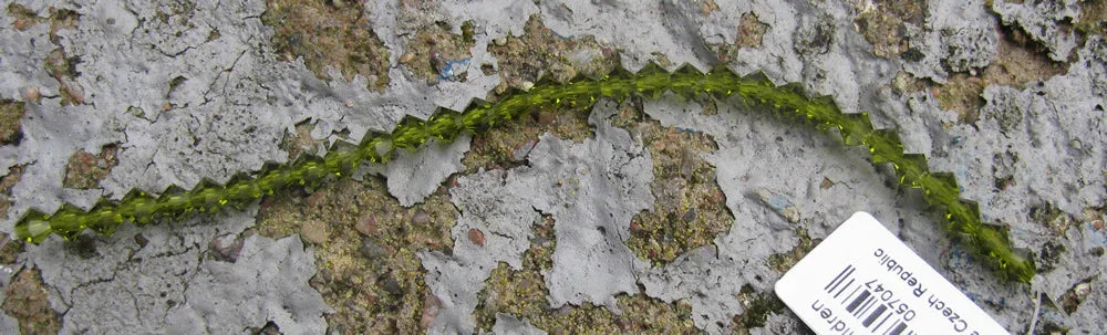Tjeckiska MC Bicone - Olivine 4 mm, 1 sträng Preciosa
