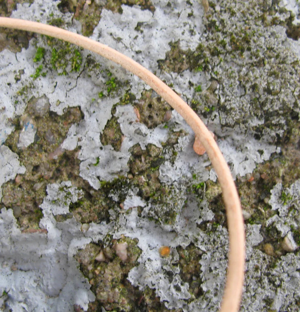 Läderband 1,5 mm - Natur, 1 m Hilmas Pyssel