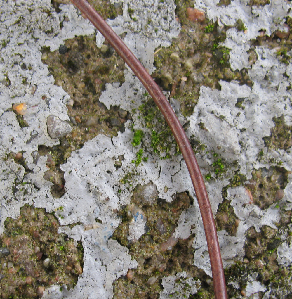 Läderband 1,5 mm - Brun, 1 m Hilmas Pyssel