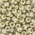 Miyuki Seed Beads - Duracoat Galvanized Silver 6/0, 10 gram Miyuki