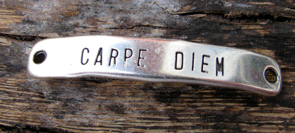 Connector Silverfärgat - Carpe Diem 40x7mm 1 styck Grekisk Metall