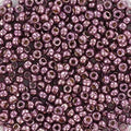 Miyuki Seed Beads - Galvanized Eggplant 11/0, 10gram Miyuki