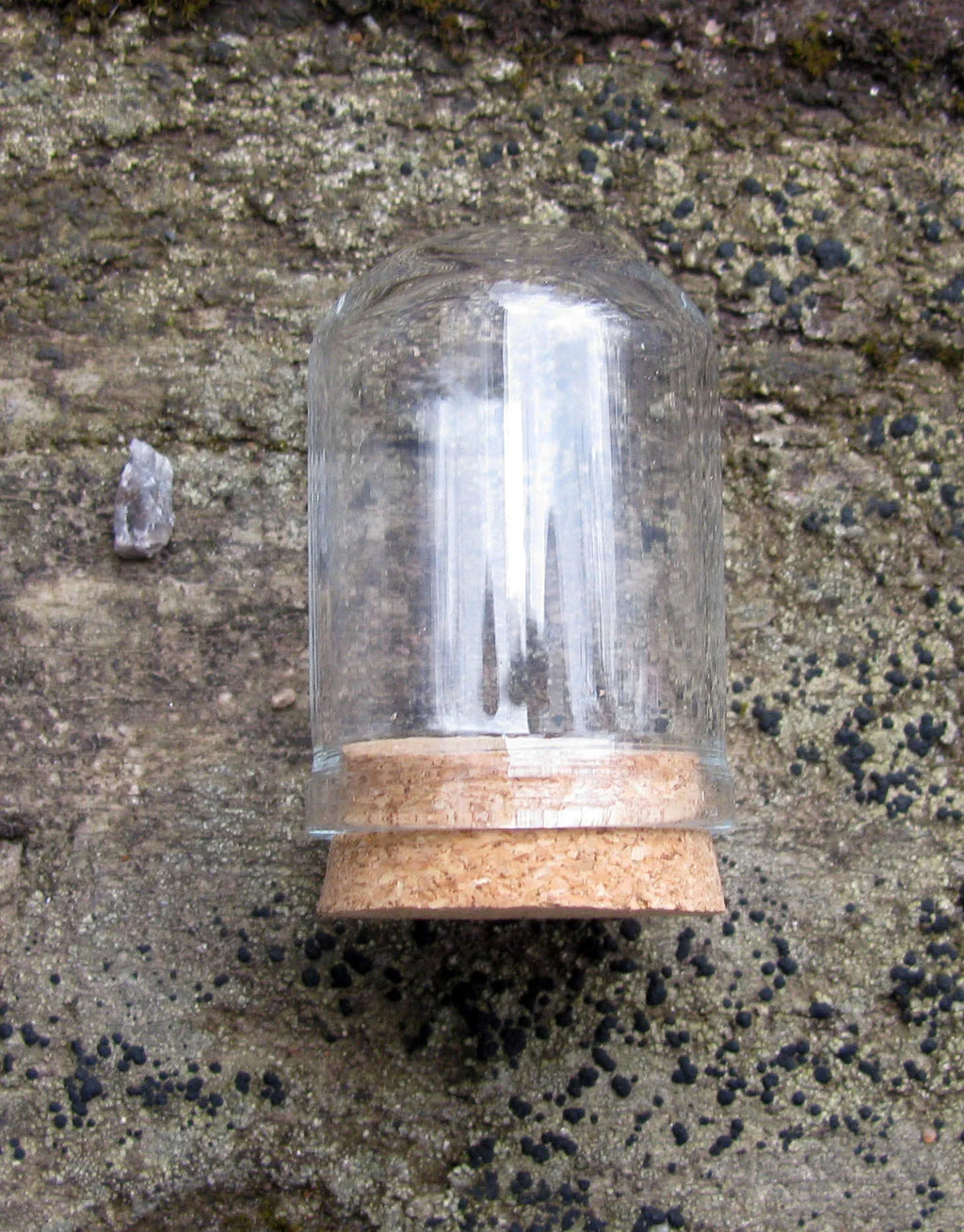 Glaskupol - Hög Cylinderformad med Kork Botten 37x22mm 1 styck Hilmas Pyssel