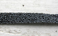 Platt band Caviar - Grå 10 mm, 20 cm Hilmas Pyssel