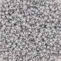 Miyuki Seed beads - Fancy Lined Pewter 15/0, 10 gram Miyuki