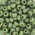Miyuki Seed beads - Opaque Glazed Frosted Rainbow Pistachio 6/0, 10 gram